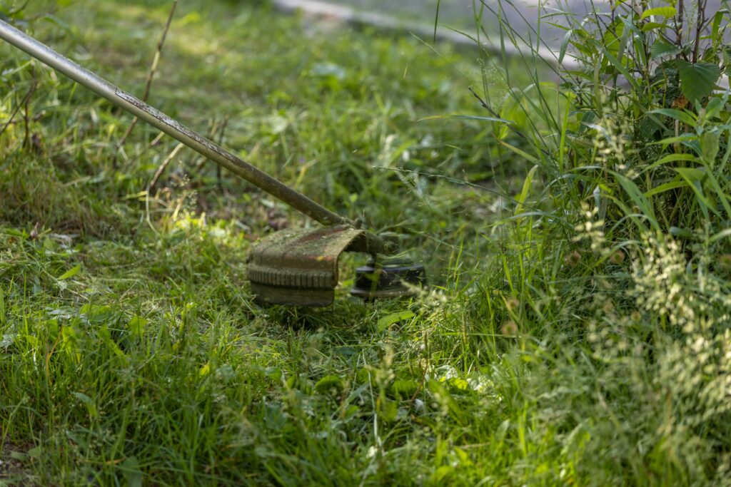 image of weedwacker wacking grass
(Taken by Sergei Starostin via Pexels)